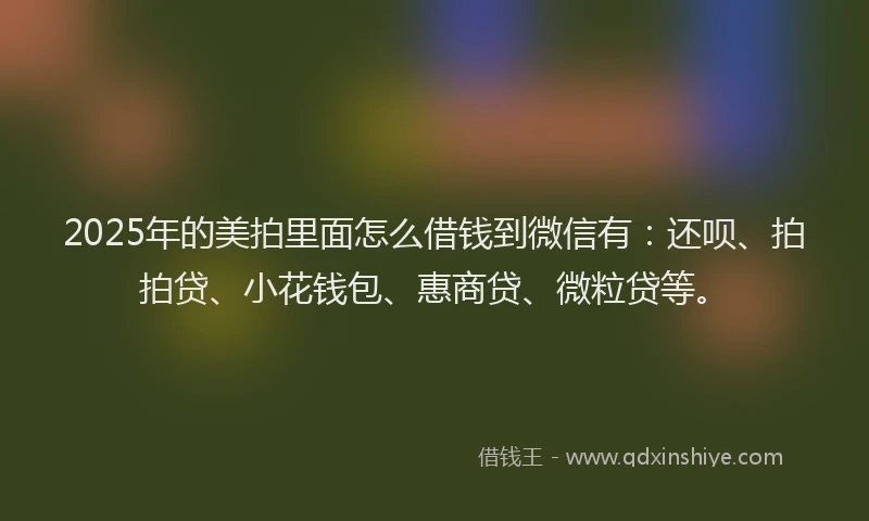 2025年的美拍里面怎么借钱到微信有：还呗、拍拍贷、小花钱包、惠商贷、微粒贷等。