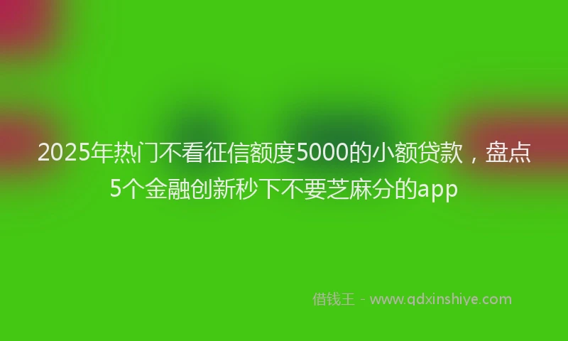 2025年热门不看征信额度5000的小额贷款，盘点5个金融创新秒下不要芝麻分的app