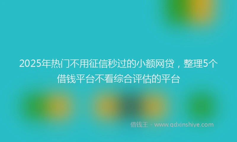 2025年热门不用征信秒过的小额网贷，整理5个借钱平台不看综合评估的平台