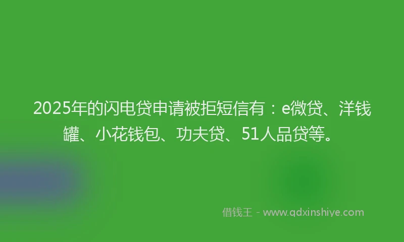 2025年的闪电贷申请被拒短信有：e微贷、洋钱罐、小花钱包、功夫贷、51人品贷等。