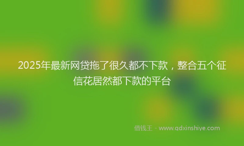 2025年最新网贷拖了很久都不下款，整合五个征信花居然都下款的平台