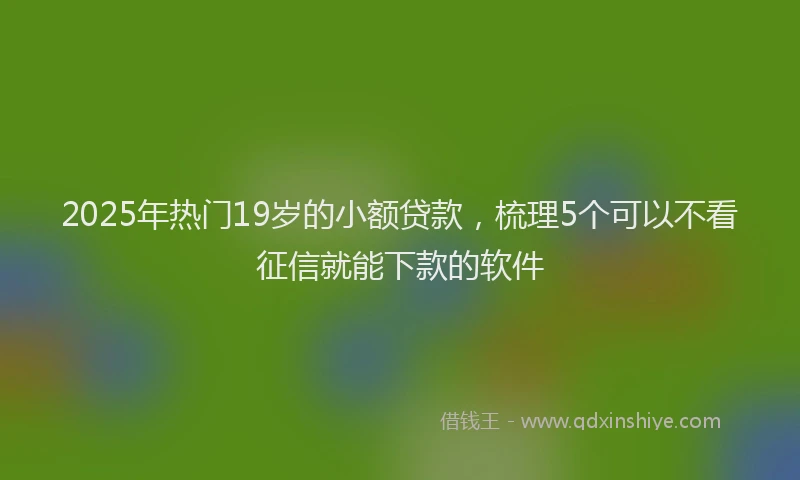2025年热门19岁的小额贷款，梳理5个可以不看征信就能下款的软件