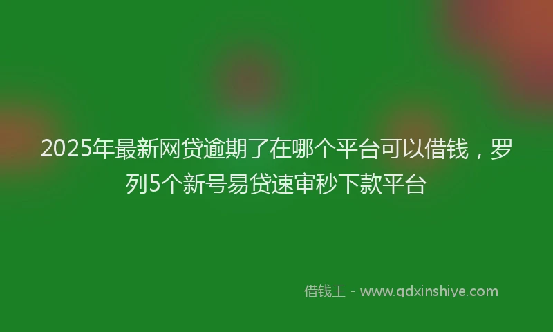 2025年最新网贷逾期了在哪个平台可以借钱,罗列5个新号易贷速审秒下款平台