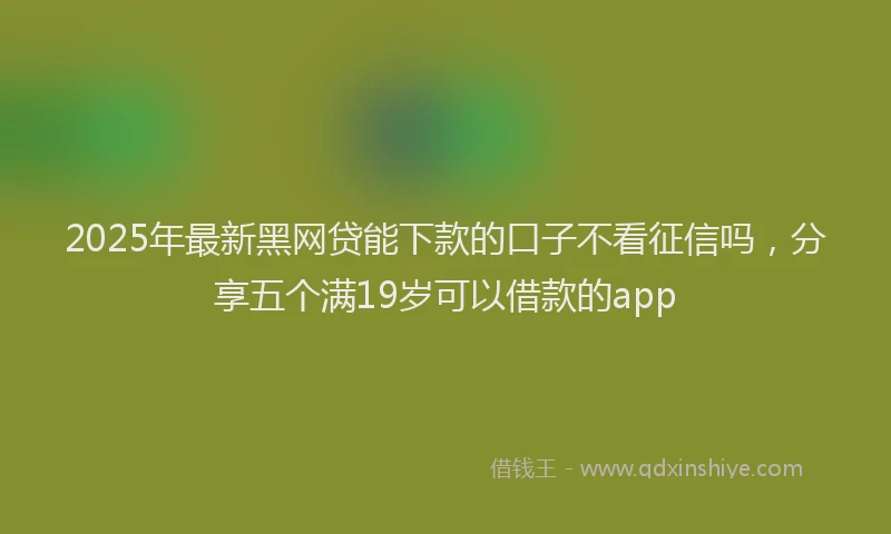2025年最新黑网贷能下款的口子不看征信吗，分享五个满19岁可以借款的app