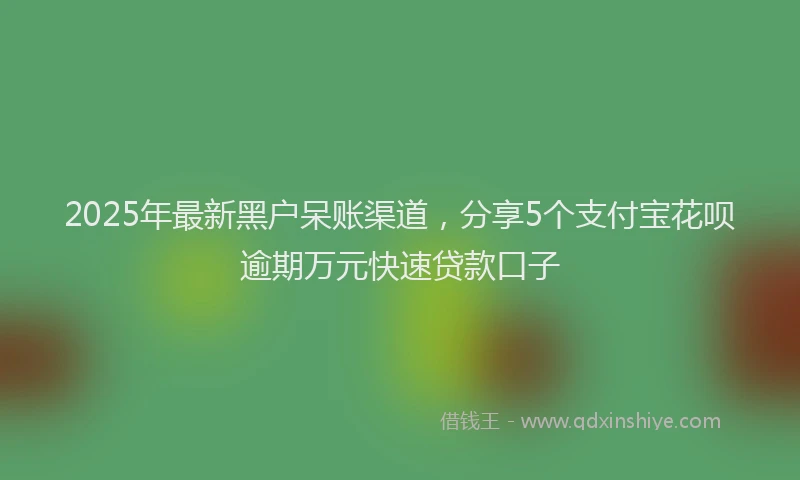 2025年最新黑户呆账渠道，分享5个支付宝花呗逾期万元快速贷款口子
