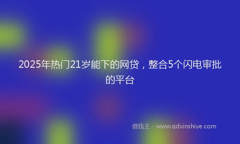 2025年热门21岁能下的网贷，整合5个闪电审批的平台