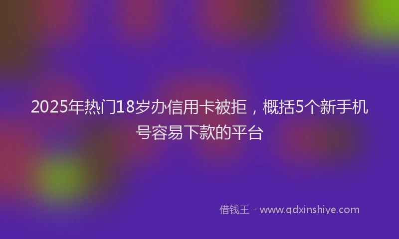 2025年热门18岁办信用卡被拒，概括5个新手机号容易下款的平台
