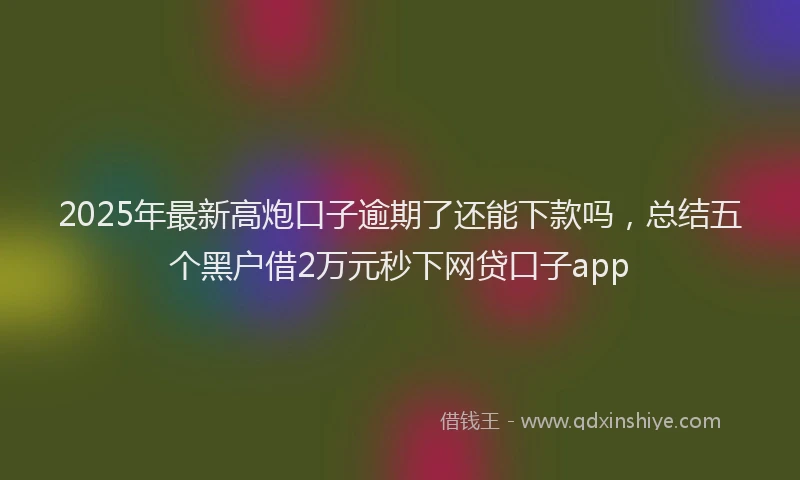 2025年最新高炮口子逾期了还能下款吗，总结五个黑户借2万元秒下网贷口子app