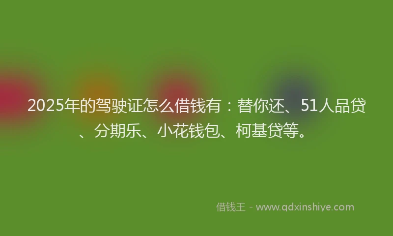 2025年的驾驶证怎么借钱有：替你还、51人品贷、分期乐、小花钱包、柯基贷等。