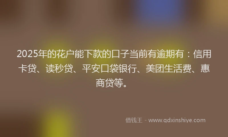 2025年的花户能下款的口子当前有逾期有：信用卡贷、读秒贷、平安口袋银行、美团生活费、惠商贷等。
