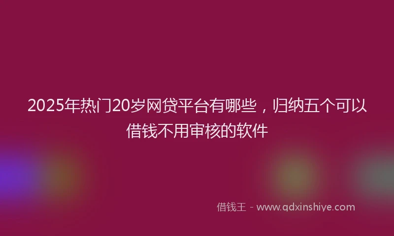 2025年热门20岁网贷平台有哪些，归纳五个可以借钱不用审核的软件