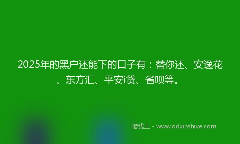 2025年的黑户还能下的口子有：替你还、安逸花、东方汇、平安i贷、省呗等。