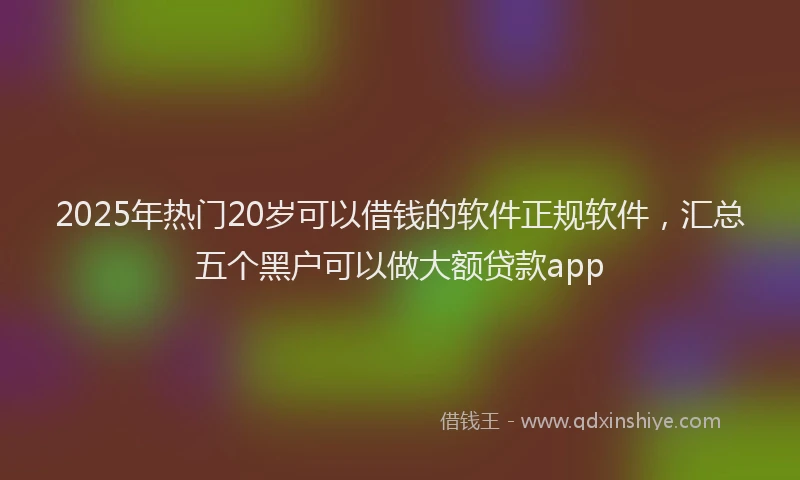 2025年热门20岁可以借钱的软件正规软件，汇总五个黑户可以做大额贷款app