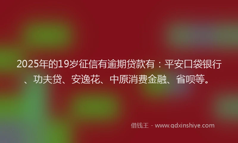2025年的19岁征信有逾期贷款有：平安口袋银行、功夫贷、安逸花、中原消费金融、省呗等。