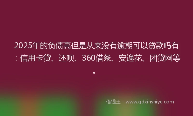 2025年的负债高但是从来没有逾期可以贷款吗有：信用卡贷、还呗、360借条、安逸花、团贷网等。