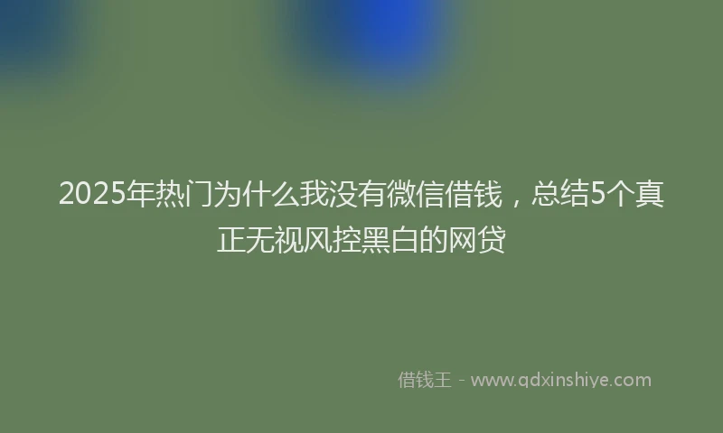 2025年热门为什么我没有微信借钱，总结5个真正无视风控黑白的网贷