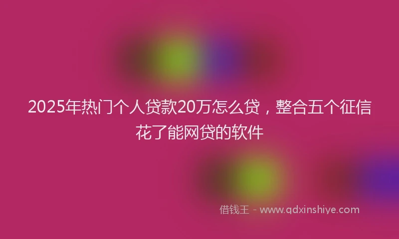 2025年热门个人贷款20万怎么贷，整合五个征信花了能网贷的软件