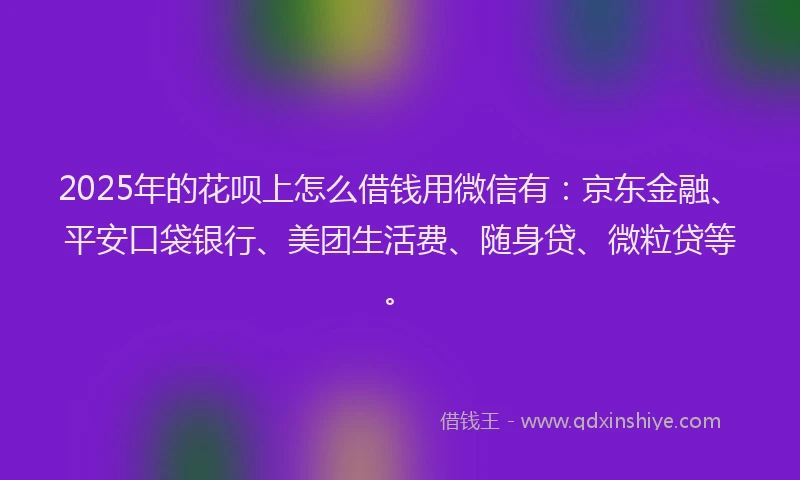 2025年的花呗上怎么借钱用微信有：京东金融、平安口袋银行、美团生活费、随身贷、微粒贷等。