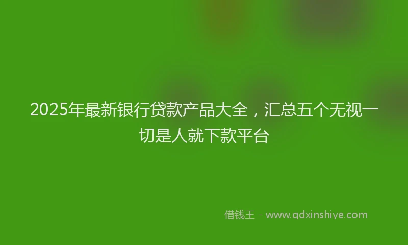 2025年最新银行贷款产品大全，汇总五个无视一切是人就下款平台