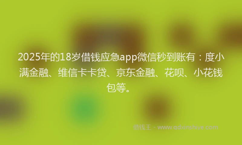 2025年的18岁借钱应急app微信秒到账有：度小满金融、维信卡卡贷、京东金融、花呗、小花钱包等。