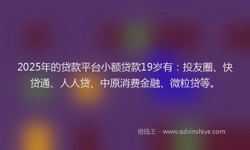 2025年的贷款平台小额贷款19岁有：投友圈、快贷通、人人贷、中原消费金融、微粒贷等。