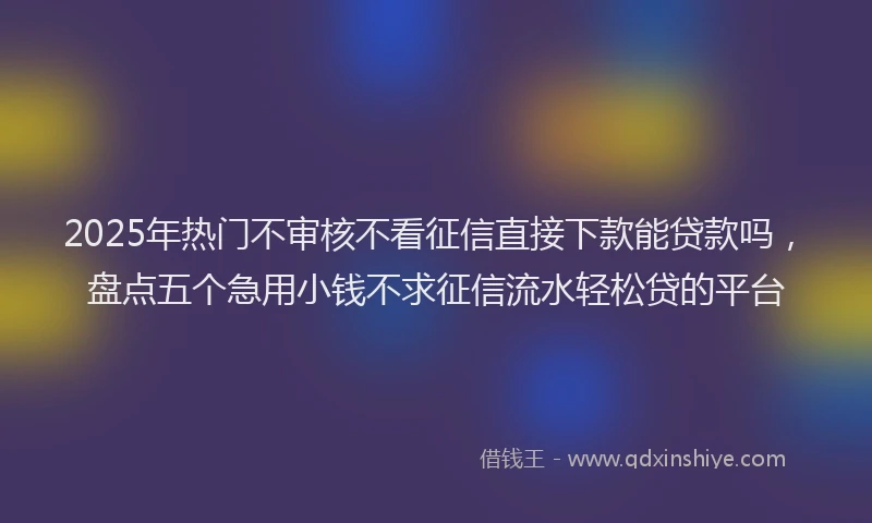 2025年热门不审核不看征信直接下款能贷款吗，盘点五个急用小钱不求征信流水轻松贷的平台