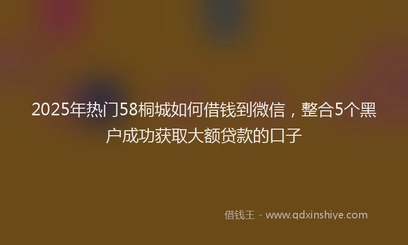 2025年热门58桐城如何借钱到微信，整合5个黑户成功获取大额贷款的口子