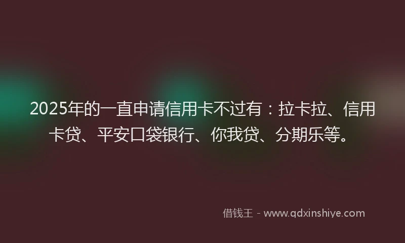 2025年的一直申请信用卡不过有：拉卡拉、信用卡贷、平安口袋银行、你我贷、分期乐等。