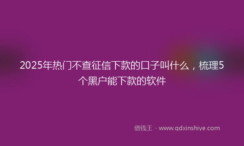 2025年热门不查征信下款的口子叫什么，梳理5个黑户能下款的软件