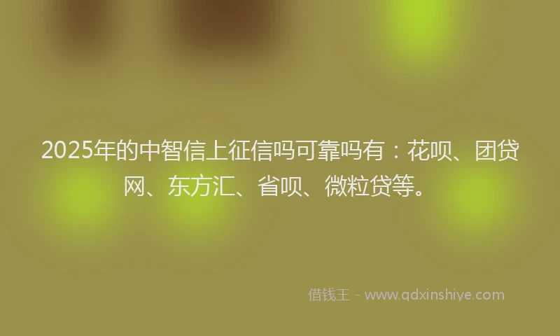 2025年的中智信上征信吗可靠吗有：花呗、团贷网、东方汇、省呗、微粒贷等。