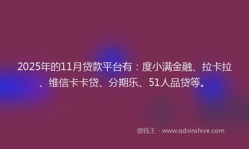 2025年的11月贷款平台有：度小满金融、拉卡拉、维信卡卡贷、分期乐、51人品贷等。