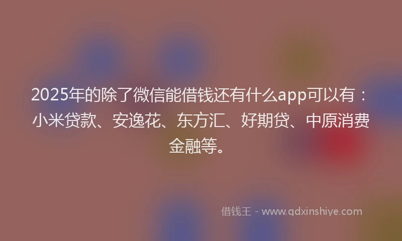 2025年的除了微信能借钱还有什么app可以有：小米贷款、安逸花、东方汇、好期贷、中原消费金融等。