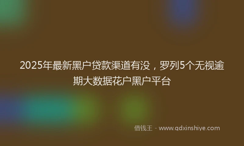 2025年最新黑户贷款渠道有没，罗列5个无视逾期大数据花户黑户平台