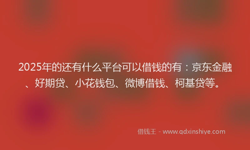 2025年的还有什么平台可以借钱的有：京东金融、好期贷、小花钱包、微博借钱、柯基贷等。