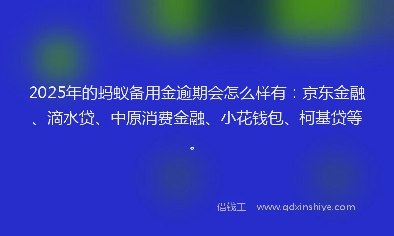 2025年的蚂蚁备用金逾期会怎么样有：京东金融、滴水贷、中原消费金融、小花钱包、柯基贷等。