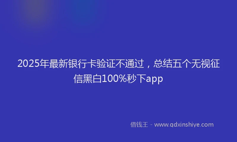 2025年最新银行卡验证不通过，总结五个无视征信黑白100%秒下app
