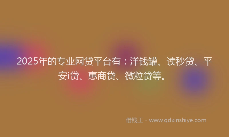 2025年的专业网贷平台有：洋钱罐、读秒贷、平安i贷、惠商贷、微粒贷等。