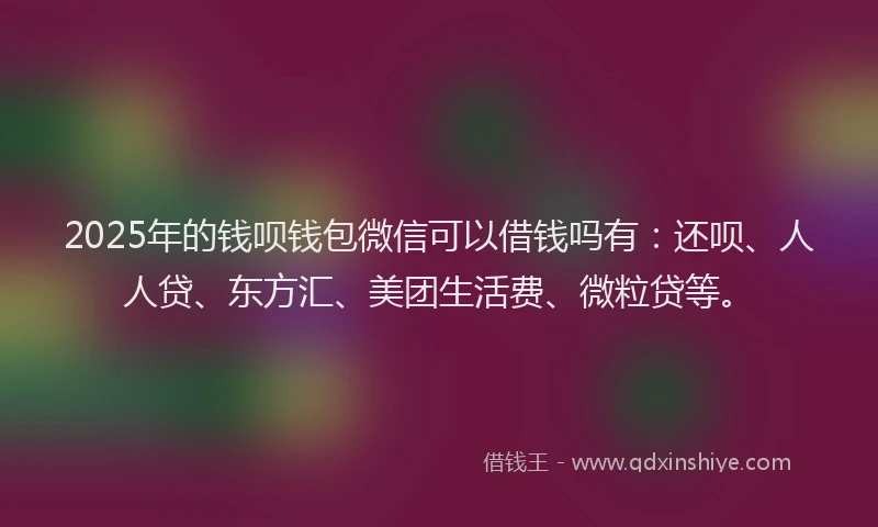 2025年的钱呗钱包微信可以借钱吗有：还呗、人人贷、东方汇、美团生活费、微粒贷等。