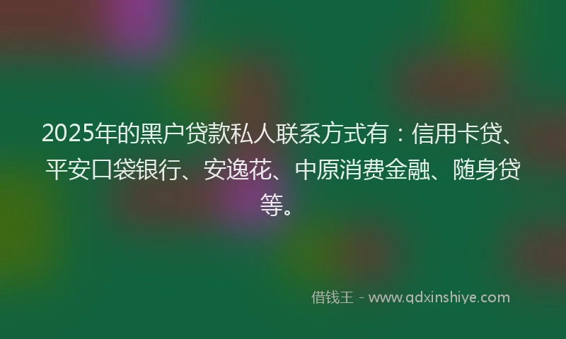 2025年的黑户贷款私人联系方式有：信用卡贷、平安口袋银行、安逸花、中原消费金融、随身贷等。
