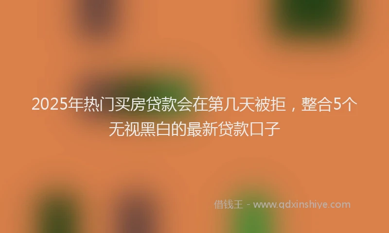 2025年热门买房贷款会在第几天被拒，整合5个无视黑白的最新贷款口子
