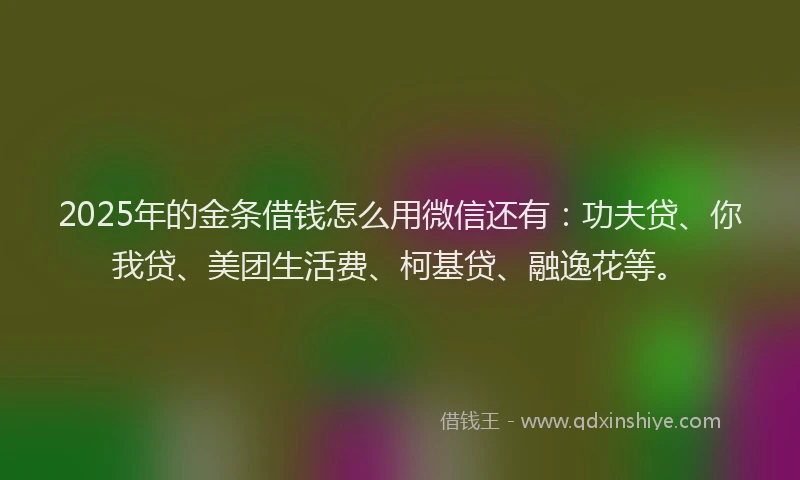 2025年的金条借钱怎么用微信还有：功夫贷、你我贷、美团生活费、柯基贷、融逸花等。