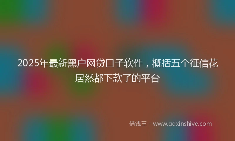 2025年最新黑户网贷口子软件，概括五个征信花居然都下款了的平台