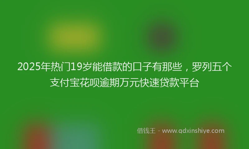 2025年热门19岁能借款的口子有那些，罗列五个支付宝花呗逾期万元快速贷款平台