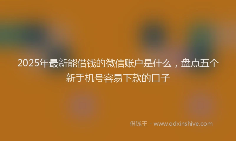 2025年最新能借钱的微信账户是什么，盘点五个新手机号容易下款的口子