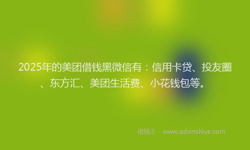 2025年的美团借钱黑微信有：信用卡贷、投友圈、东方汇、美团生活费、小花钱包等。