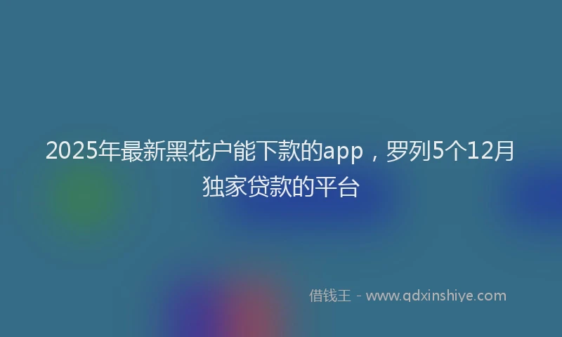 2025年最新黑花户能下款的app，罗列5个12月独家贷款的平台