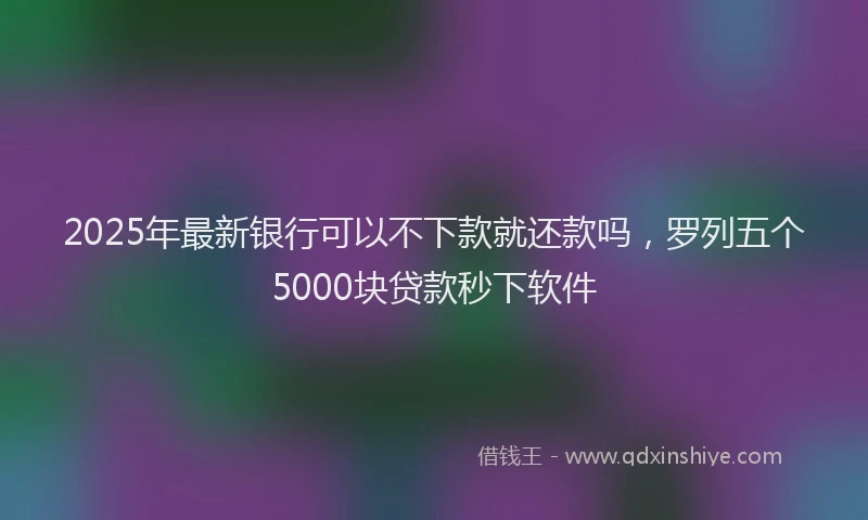 2025年最新银行可以不下款就还款吗，罗列五个5000块贷款秒下软件
