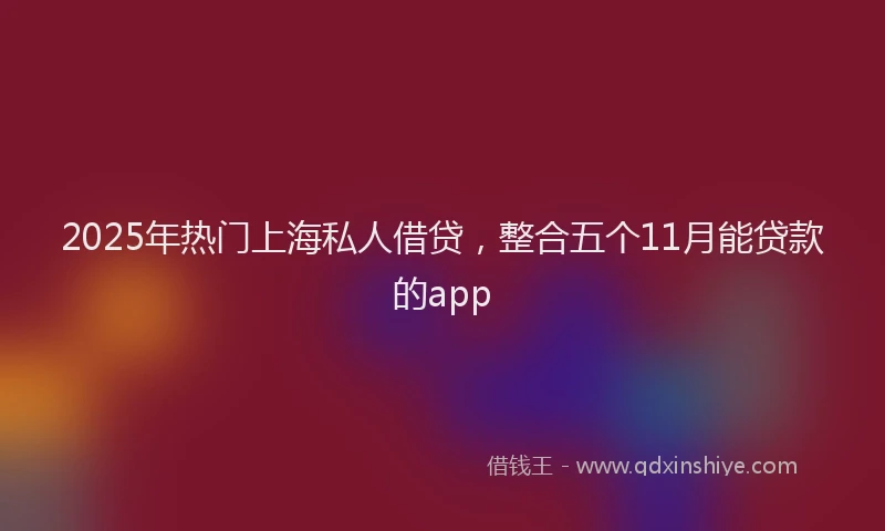2025年热门上海私人借贷，整合五个11月能贷款的app
