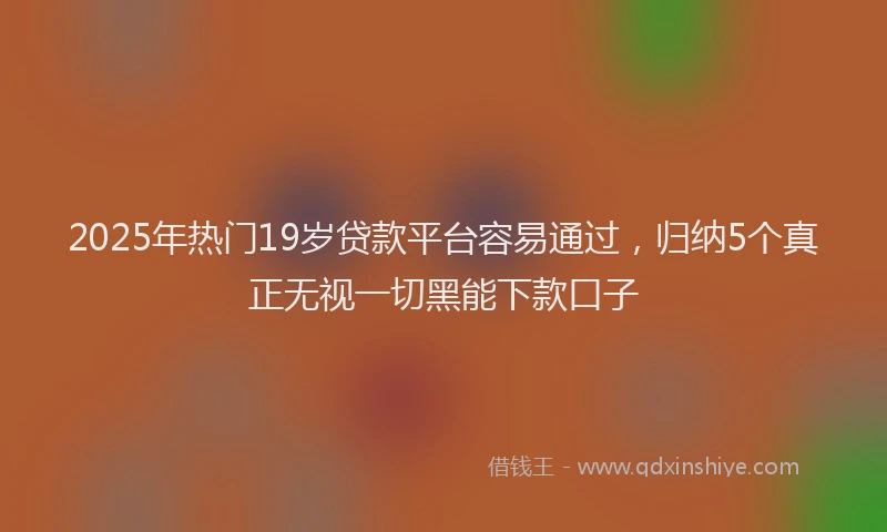 2025年热门19岁贷款平台容易通过，归纳5个真正无视一切黑能下款口子