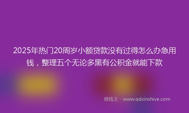 2025年热门20周岁小额贷款没有过得怎么办急用钱，整理五个无论多黑有公积金就能下款